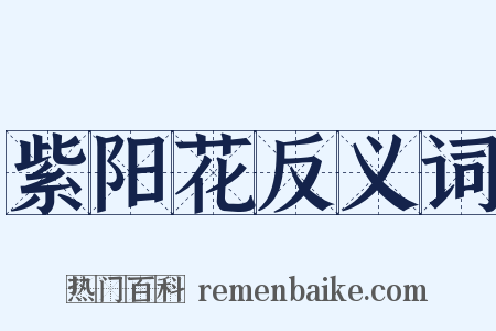 紫阳花反义词是什么意思的图片